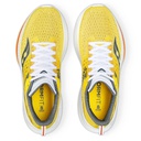 Чоловічі бігові кросівки Saucony RIDE 17 S20924-112-CABO