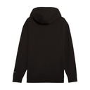Чоловіче худі Puma RAD/CAL Hooded Half-Zip 68162001