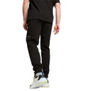 Чоловічі спортивні штани Puma RAD/CAL Pants 68162101