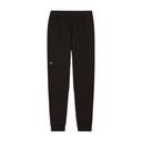 Чоловічі спортивні штани Puma RAD/CAL Pants 68162101