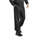Чоловічі спортивні штани Adidas M A SZN FL PT IX1252