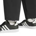 Чоловічі спортивні штани Adidas M City Escape Stretch-Woven IV7421