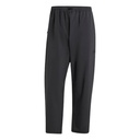 Чоловічі спортивні штани Adidas M City Escape Stretch-Woven IV7421