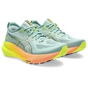 Жіночі бігові кросівки Asics GEL-KAYANO 31 PARIS 1012B745-750