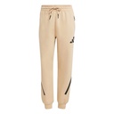 Жіночі спортивні штани Adidas W Z.N.E. Pants JD9587