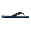 Чоловічі в'єтнамки Quiksilver MOLOKAI ART II SNDL AQYL101360-XKBM