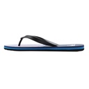 Чоловічі в'єтнамки Quiksilver MOLOKAI ART II SNDL AQYL101360-XKBM
