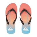 Чоловічі в'єтнамки Quiksilver MOLOKAI ART II SNDL AQYL101360-XBBN