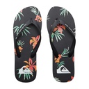Чоловічі в'єтнамки Quiksilver MOLOKAI ART II SNDL AQYL101360-XKNG