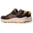 Жіночі бігові кросівки Asics Trabuco Terra 2 1012B427-501