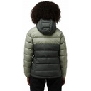 Жіноча прошита пухова куртка Jack Wolfskin ATHER DOWN HOODY W A60330_4136