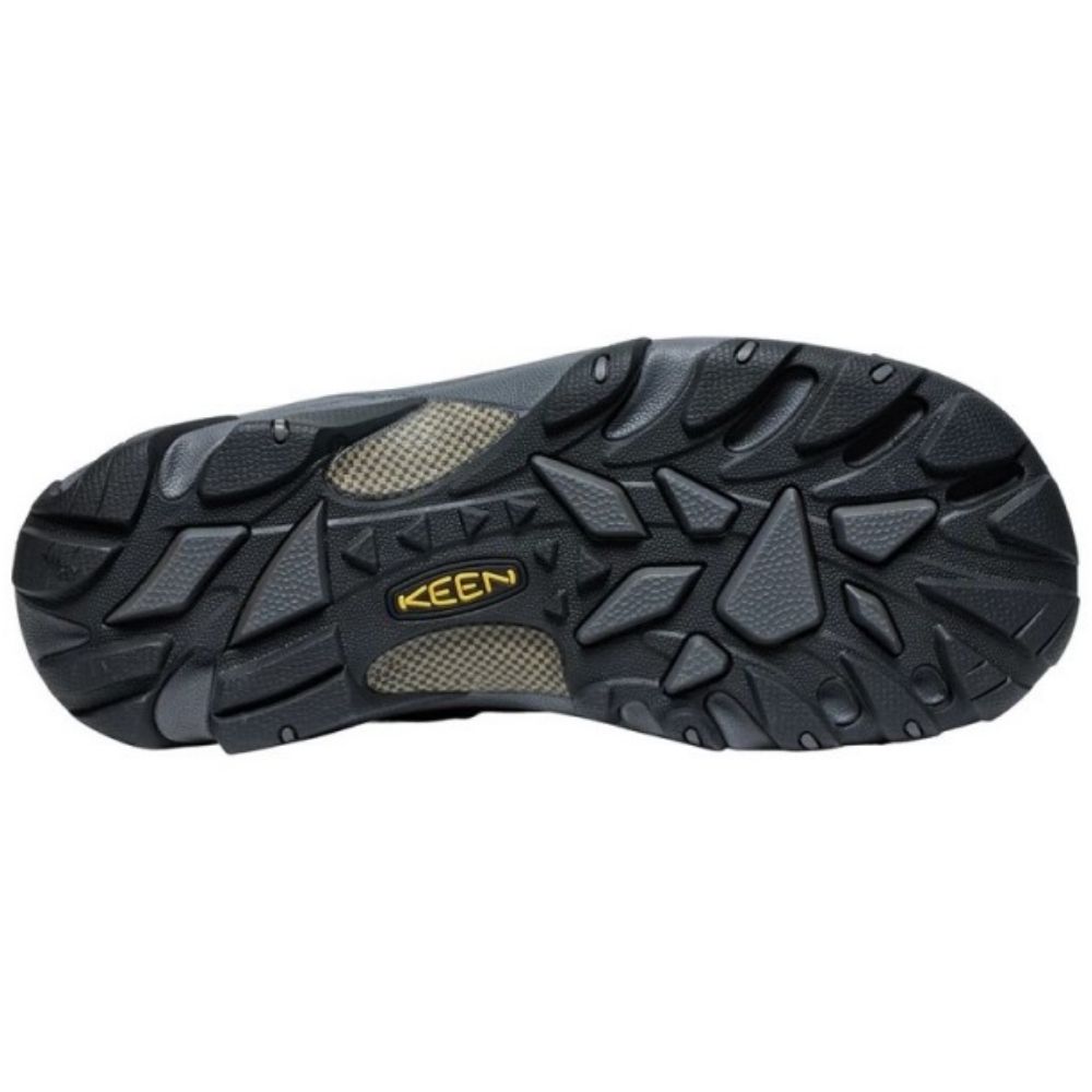 Чоловічі черевики Keen PYRENEES M 1029399