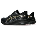 Жіночі бігові кросівки Asics GT-1000 13 GTX 1012B661-001