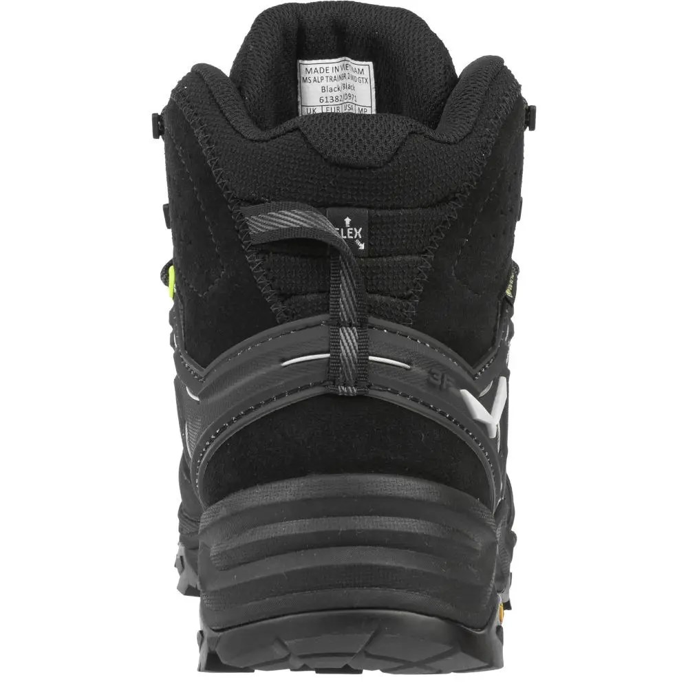 Чоловічі черевики Salewa MS ALP TRAINER 2 MID GTX 61382_7512