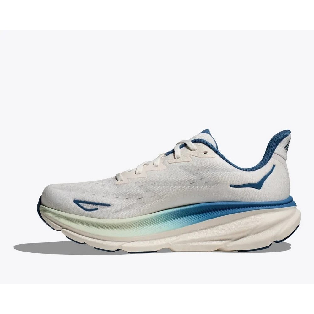 Чоловічі бігові кросівки Hoka One One M CLIFTON 9 1127895-FTG