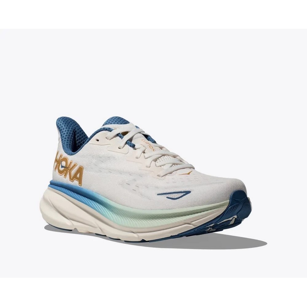 Чоловічі бігові кросівки Hoka One One M CLIFTON 9 1127895-FTG
