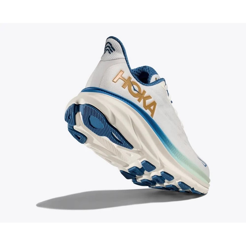 Чоловічі бігові кросівки Hoka One One M CLIFTON 9 1127895-FTG