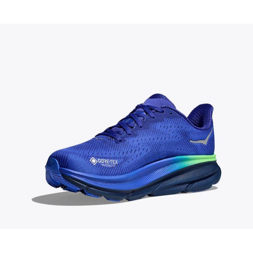 Чоловічі бігові кросівки Hoka One One M CLIFTON 9 GTX 1141470F-DBES