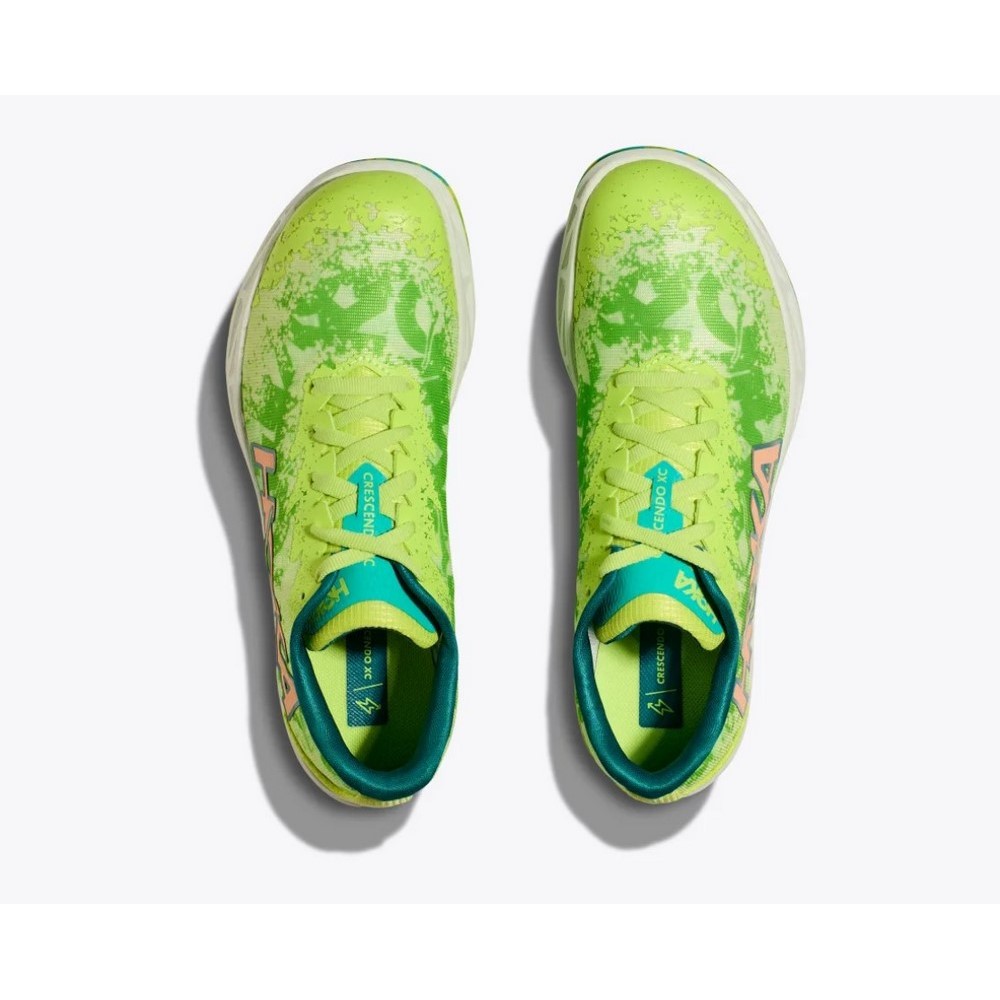 Кросівки для бігу Hoka One One U CRESCENDO XC 1141272-LLC