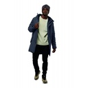 Чоловіче напівпальто пухове Jack Wolfskin BRANDENBURGER COAT M A60201_C0413