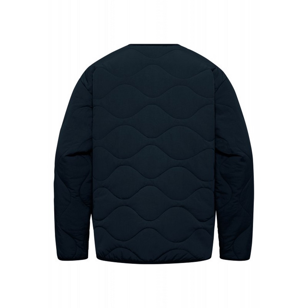 Жіноча куртка прошита Jack Wolfskin WANDERSOME INS JKT W A60173_6502
