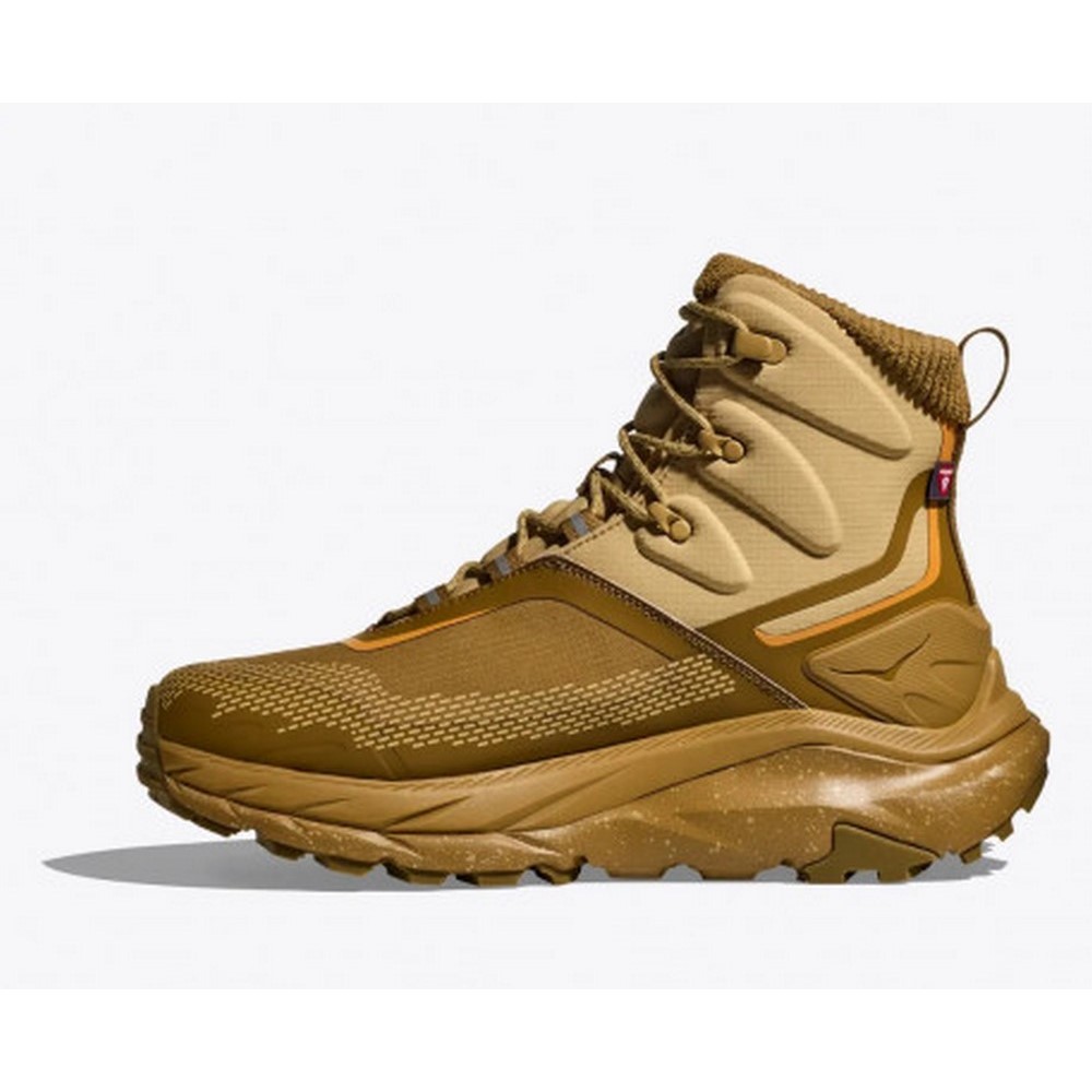 Чоловічі черевики для туризму Hoka One One M KAHA 2 FROST GTX 1155194-HONE