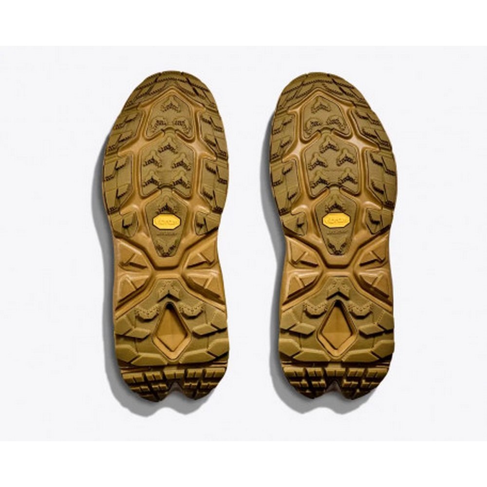 Чоловічі черевики для туризму Hoka One One M KAHA 2 FROST GTX 1155194-HONE