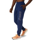 Чоловічі спортивні штани Asics LOGO SWEATPANT 2031E189-404