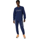 Чоловічі спортивні штани Asics LOGO SWEATPANT 2031E189-404