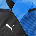 Сумка Puma teamGOAL Teambag 55L 090233-02
