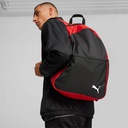 Рюкзак Puma teamGOAL Backpack Core 20L 090238-03