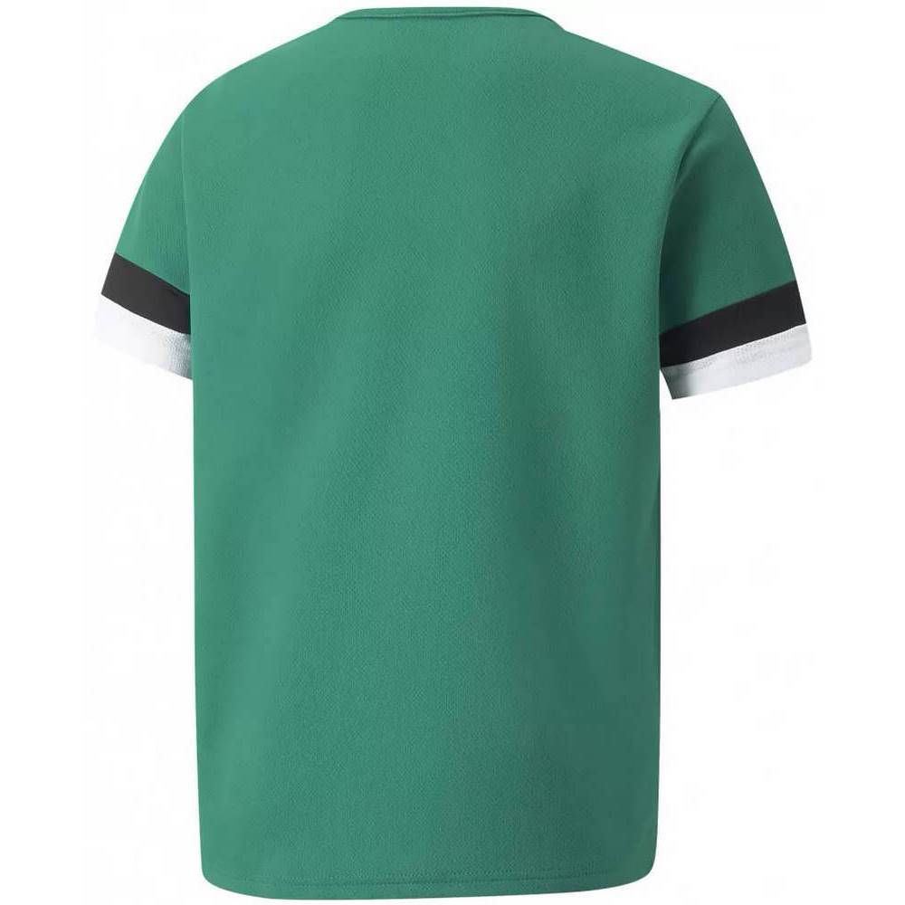 Дитяча футболка Puma teamRISE Jersey Jr 704938-05