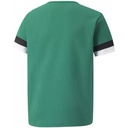 Дитяча футболка Puma teamRISE Jersey Jr 704938-05