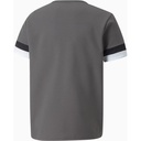 Дитяча футболка Puma teamRISE Jersey Jr 704938-13