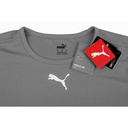 Дитяча футболка Puma teamRISE Jersey Jr 704938-13