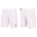 Дитячі шорти Puma teamRISE Short Jr 704943-03