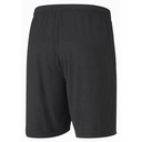 Чоловічі шорти Puma teamGOAL 23 knit Shorts 704262-03