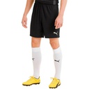 Чоловічі шорти Puma teamGOAL 23 knit Shorts 704262-03