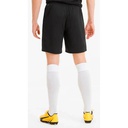 Чоловічі шорти Puma teamGOAL 23 knit Shorts 704262-03
