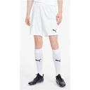 Чоловічі шорти Puma teamGOAL 23 knit Shorts 704262-04