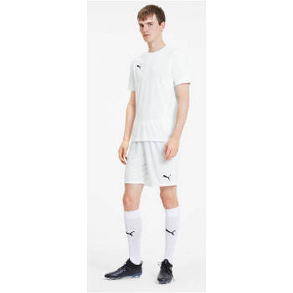 Чоловічі шорти Puma teamGOAL 23 knit Shorts 704262-04