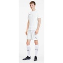Чоловічі шорти Puma teamGOAL 23 knit Shorts 704262-04