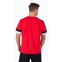 Чоловіча футболка Puma teamRISE Jersey 704932-01