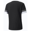 Чоловіча футболка Puma teamRISE Jersey 704932-03
