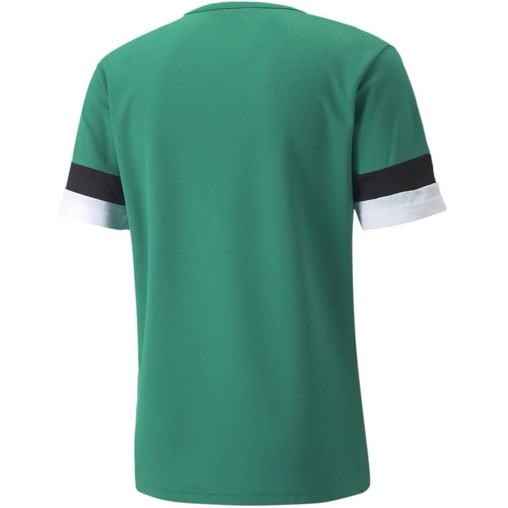 Чоловіча футболка Puma teamRISE Jersey 704932-05