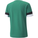 Чоловіча футболка Puma teamRISE Jersey 704932-05