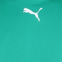 Чоловіча футболка Puma teamRISE Jersey 704932-05