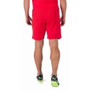 Чоловічі шорти Puma teamRISE Short 704942-01