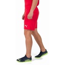 Чоловічі шорти Puma teamRISE Short 704942-01