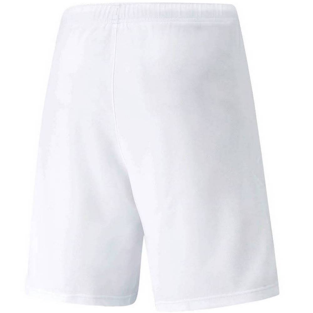 Чоловічі шорти Puma teamRISE Short 704942-03